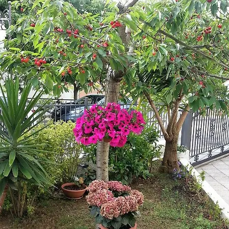 A Casa Di Nonna Bed & Breakfast Loreto