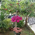 A Casa Di Nonna Bed & Breakfast Loreto