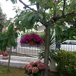 A Casa Di Nonna