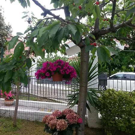 A Casa Di Nonna