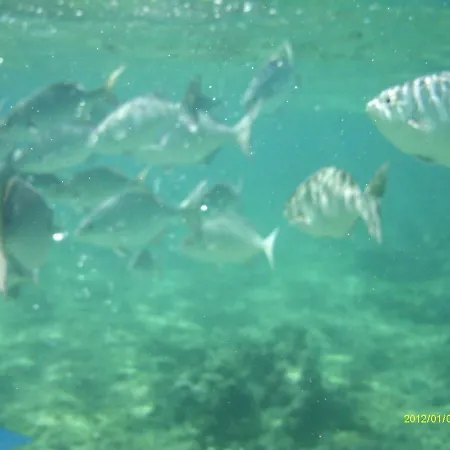Alojamento de Acomodação e Pequeno-almoço A Casa Di Nonna Loreto