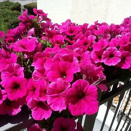 A Casa Di Nonna Alojamento de Acomodação e Pequeno-almoço *